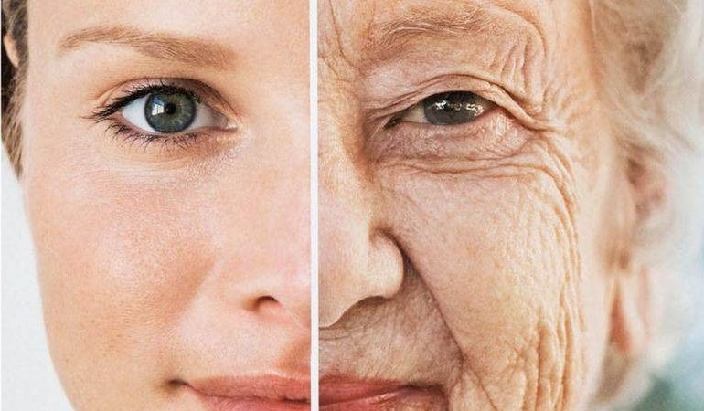 ¿Porque envejecemos más rápido? Harvard revela las razones