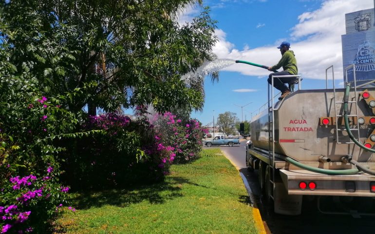 INTENSIFICA MUNICIPIO DE AGUASCALIENTES ACCIONES DE CUIDADO Y MANTENIMIENTO DE CAMELLONES