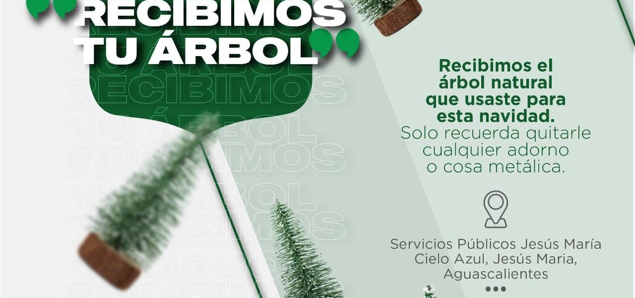 INVITAN EN JESÚS MARÍA A RECICLAR EL ÁRBOL DE NAVIDAD