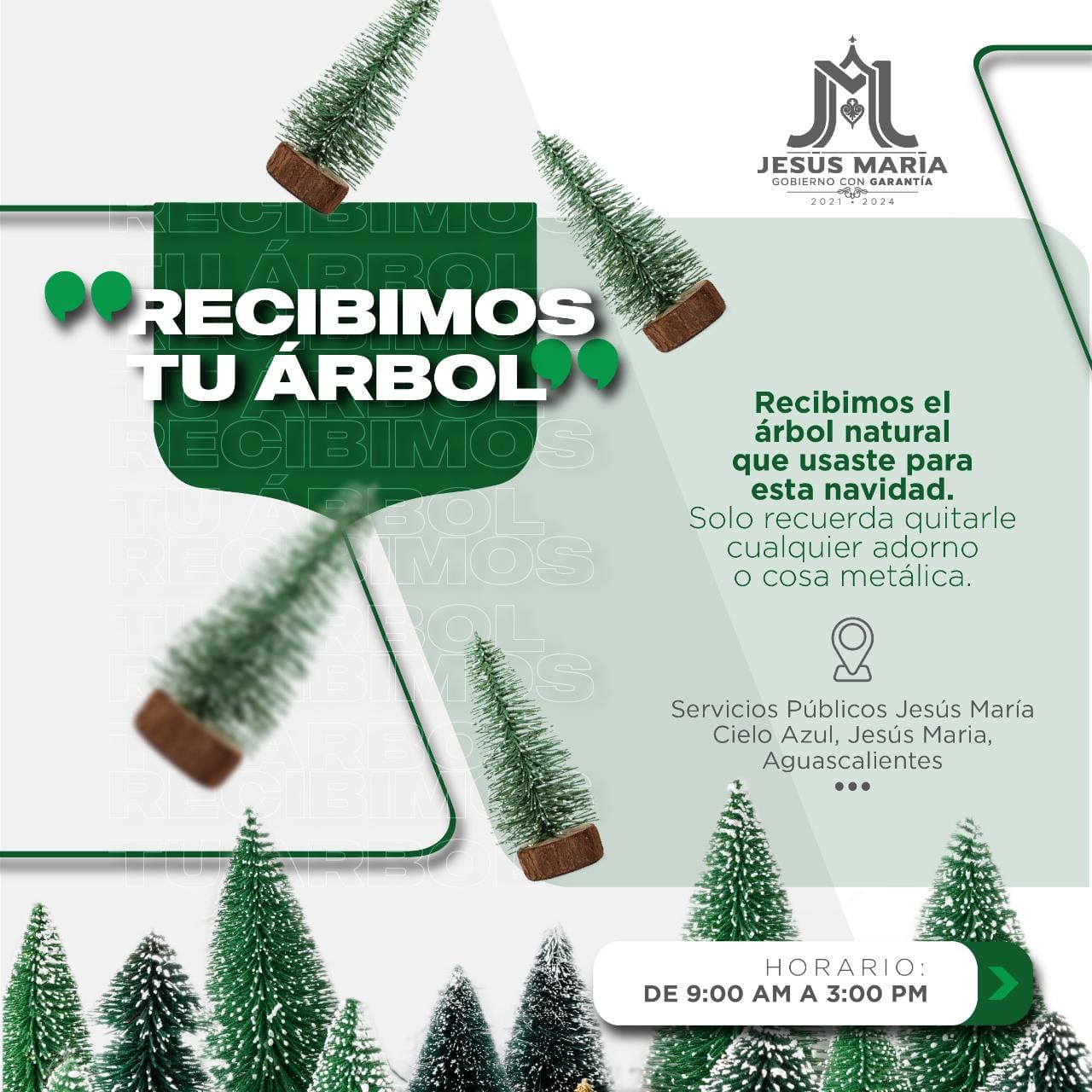 INVITAN EN JESÚS MARÍA A RECICLAR EL ÁRBOL DE NAVIDAD