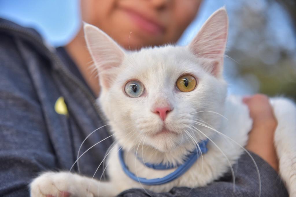 HUBO JORNADA DE SALUD PARA MASCOTAS EN JM