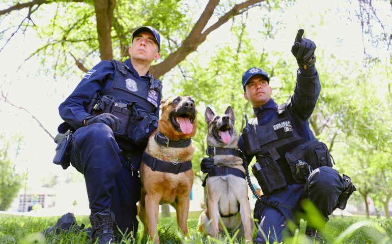 K9 COLABORA PARA GARANTIZAR LA SEGURIDAD EN EL ESTADO