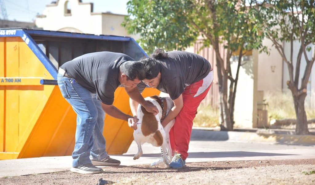 LLEGA ENCHÚLAME LA CUADRA A LA RINCONADA