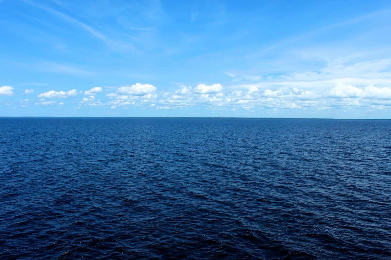 Temperatura de la superficie oceánica alcanza temperaturas récord en agosto