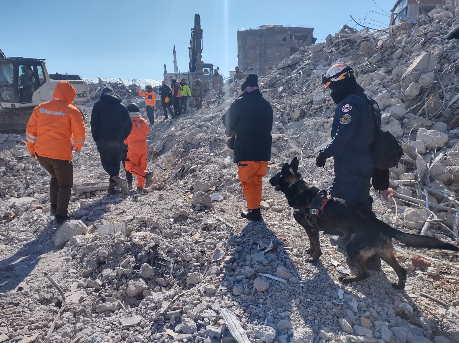 REGRESAN BRIGADISTAS DE PROTECCIÓN CIVIL DE AGUASCALIENTES TRAS HABER REALIZADO HISTÓRICA LABOR DE BÚSQUEDA Y LOCALIZACIÓN EN TURQUÍA