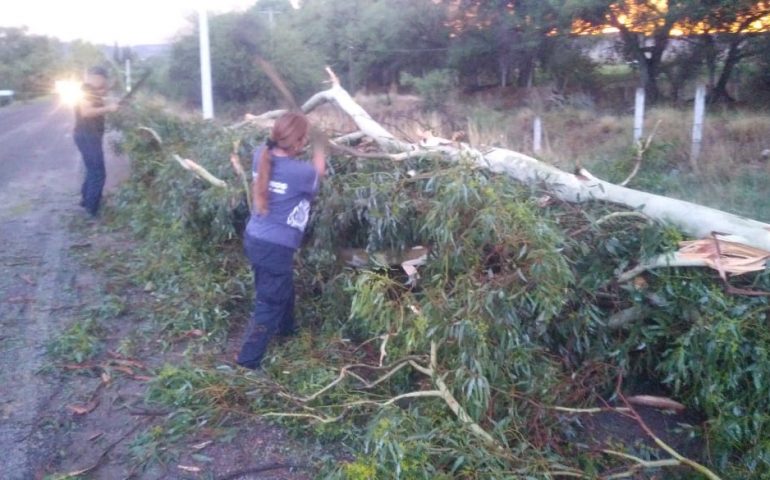 Se atienden reportes de afectaciones por lluvias en el municipio de Jesús María