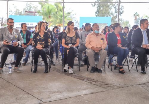 ACCIONES PARA PREVENIR EL SUICIDIO EN JESÚS MARÍA
