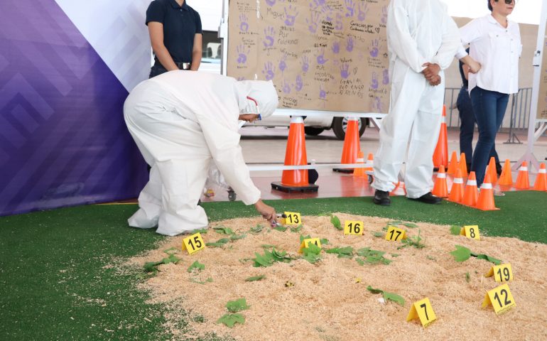 CONOCE SOBRE CRIMINALÍSTICA EN LA FNSM