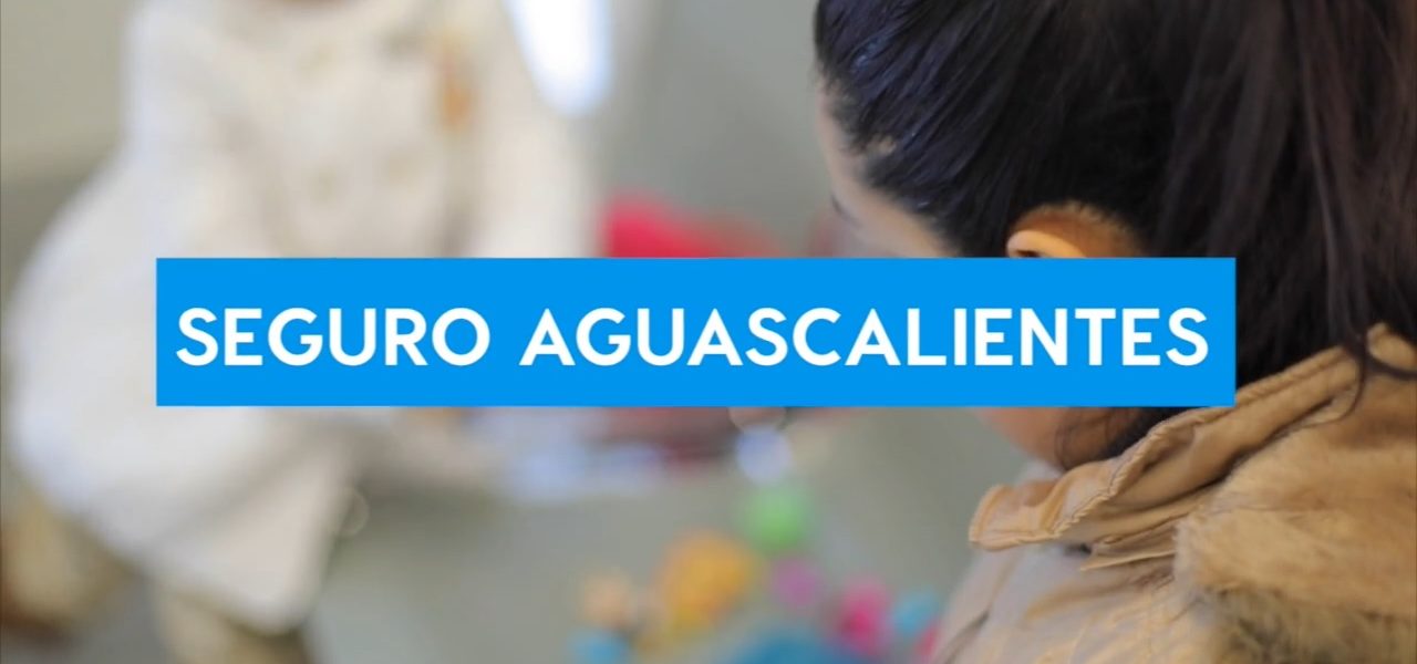 CON EL SEGURO AGUASCALIENTES GARANTIZAMOS EL DERECHO A LA SALUD: TERE JIMÉNEZ