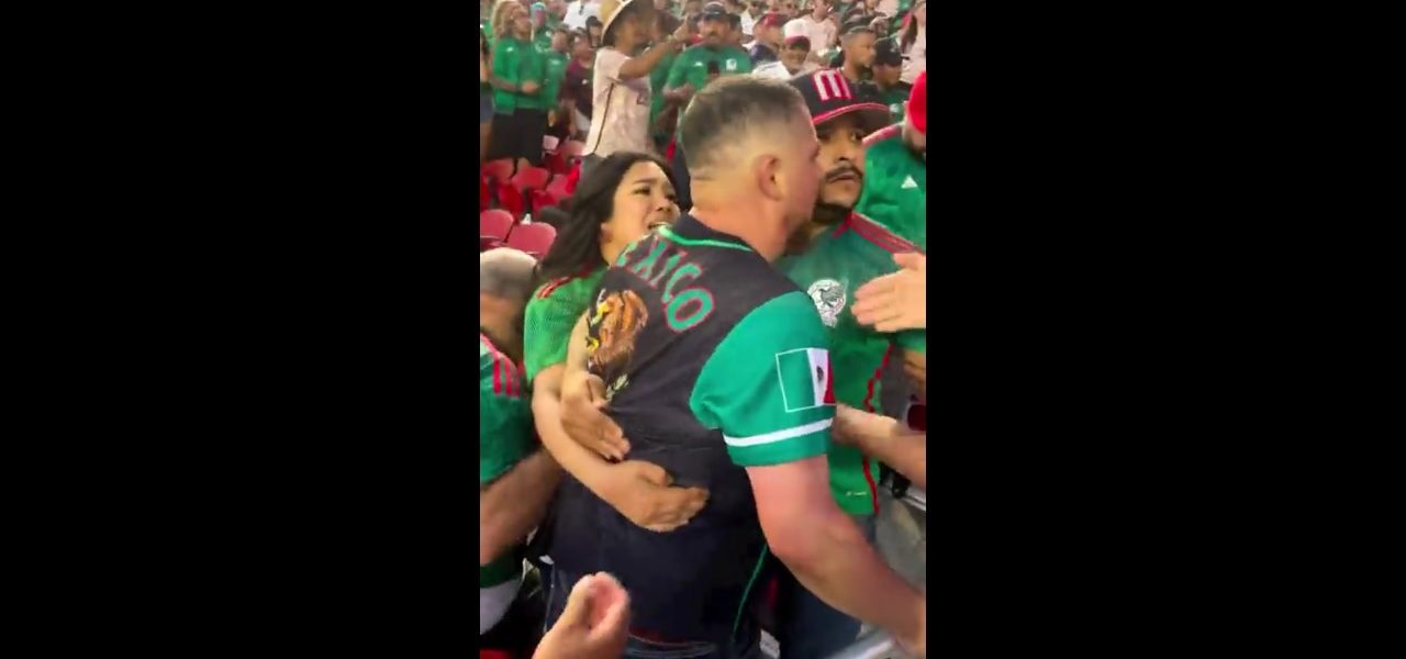 Video: Agresión en el partido de México vs Qatar