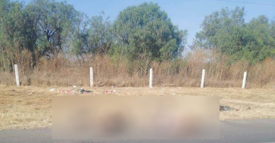 Arrojan cuerpos de 7 fallecidos en la carretera en Zacatecas