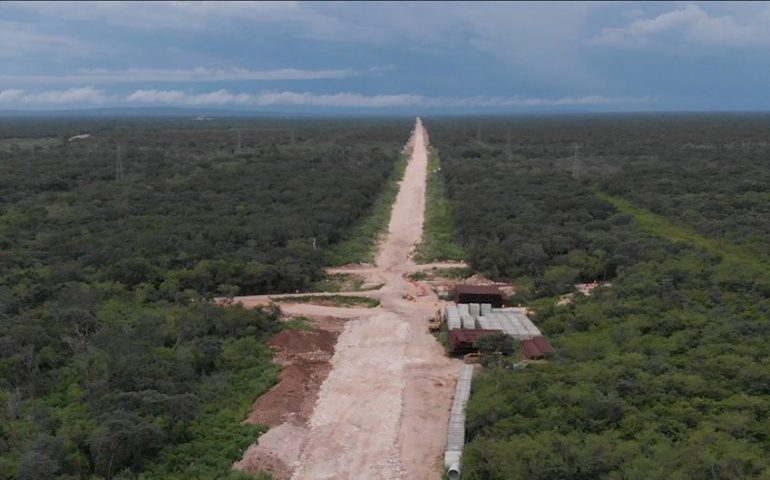 Juez suspende de forma definitiva otra del tramo 5 del Tren Maya