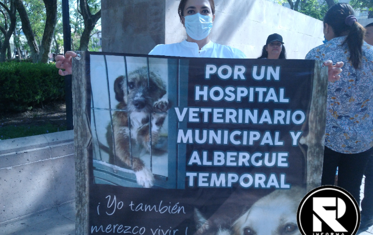 Activistas piden cambios en la perrera municipal