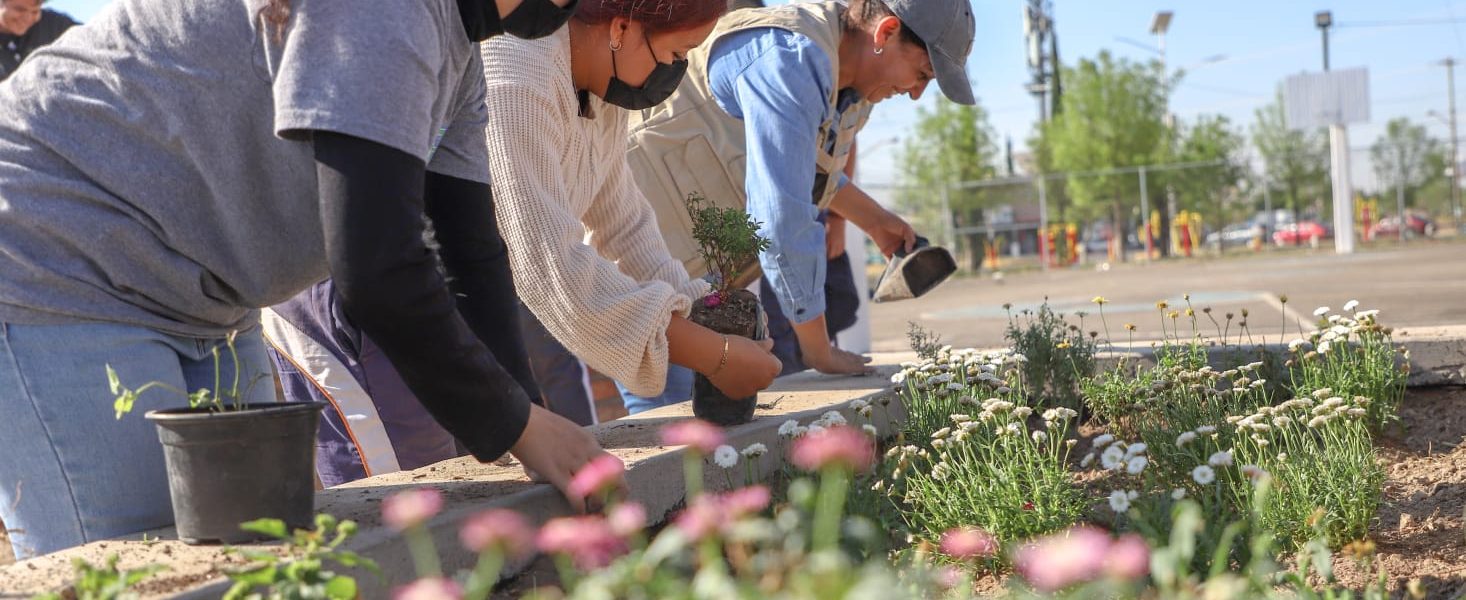 INSTALAN EL PRIMER JARDÍN DE POLINIZADORES Y FARMACIA VIVIENTE EN JESÚS MARÍA