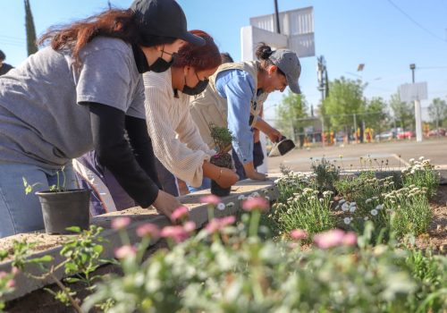 INSTALAN EL PRIMER JARDÍN DE POLINIZADORES Y FARMACIA VIVIENTE EN JESÚS MARÍA
