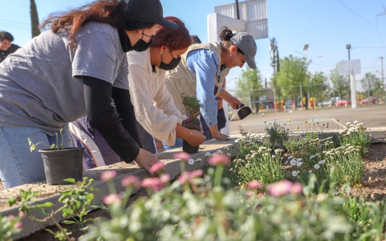 INSTALAN EL PRIMER JARDÍN DE POLINIZADORES Y FARMACIA VIVIENTE EN JESÚS MARÍA