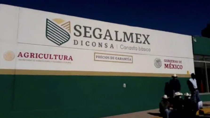 Segalmex paga a empresa «fantasma» relacionada con lavado, 67 millones