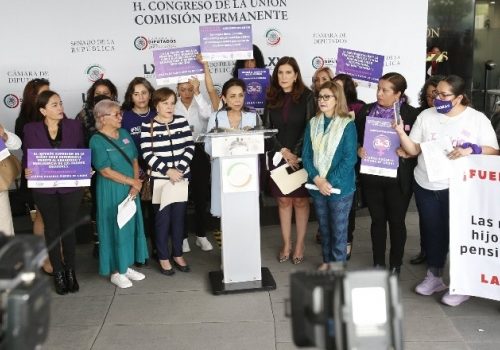 Colectivos piden la renuncia de Rosario Piedra titular de la CNDH