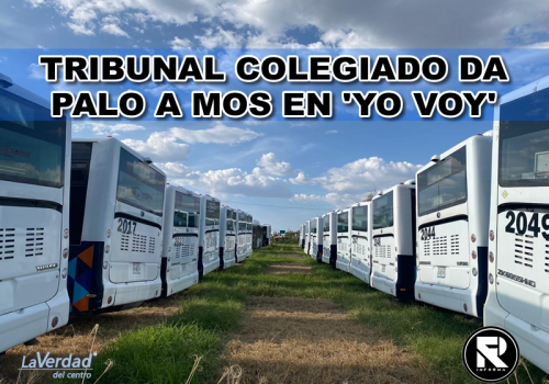 TRIBUNAL COLEGIADO DA PALO A MOS EN ‘YO VOY’