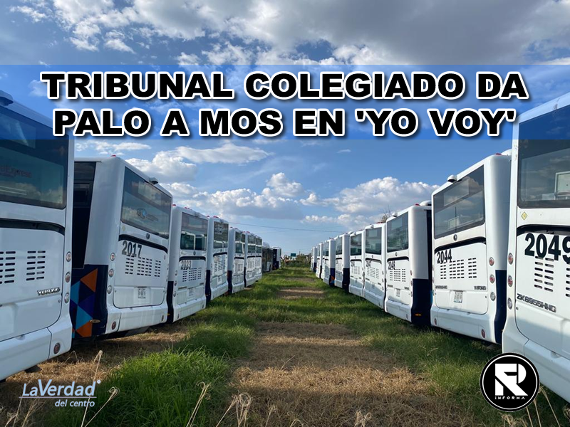 TRIBUNAL COLEGIADO DA PALO A MOS EN ‘YO VOY’