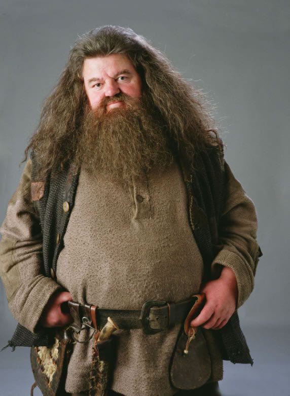 MUERE EL ACTOR ROBBIE COLTRANE QUIEN INTERPRETÓ A HAGRID EN «HARRY POTTER»