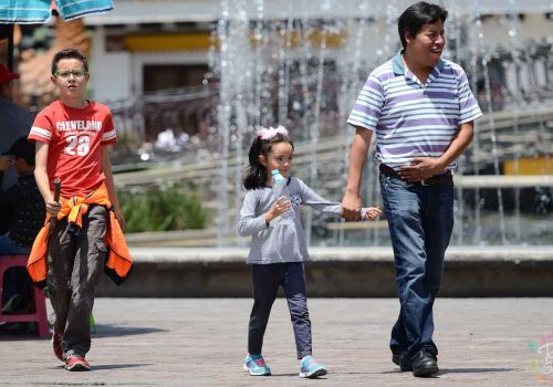 Deudores alimenticios ya no podrán acceder a cargos públicos, avala la SCJN