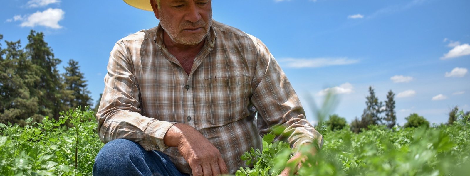 TERE JIMÉNEZ APOYARÁ A FAMILIAS DE MIGRANTES QUE UTILICEN SUS REMESAS EN EL DESARROLLO DEL SECTOR AGROPECUARIO