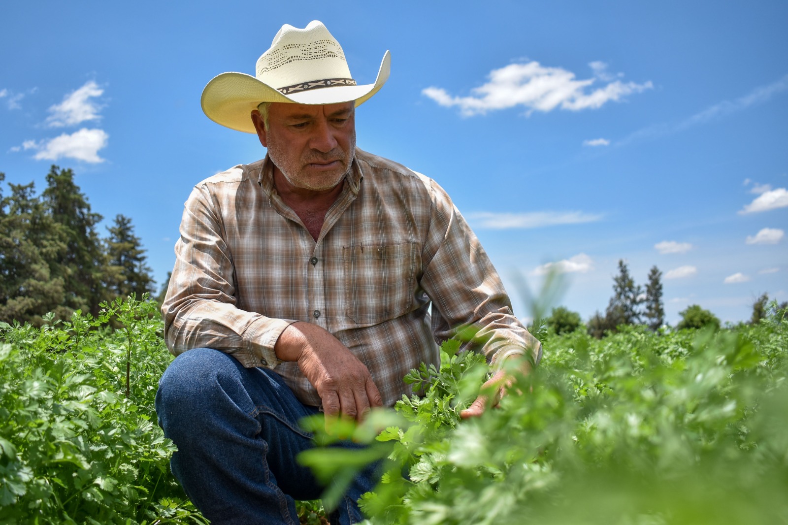 TERE JIMÉNEZ APOYARÁ A FAMILIAS DE MIGRANTES QUE UTILICEN SUS REMESAS EN EL DESARROLLO DEL SECTOR AGROPECUARIO