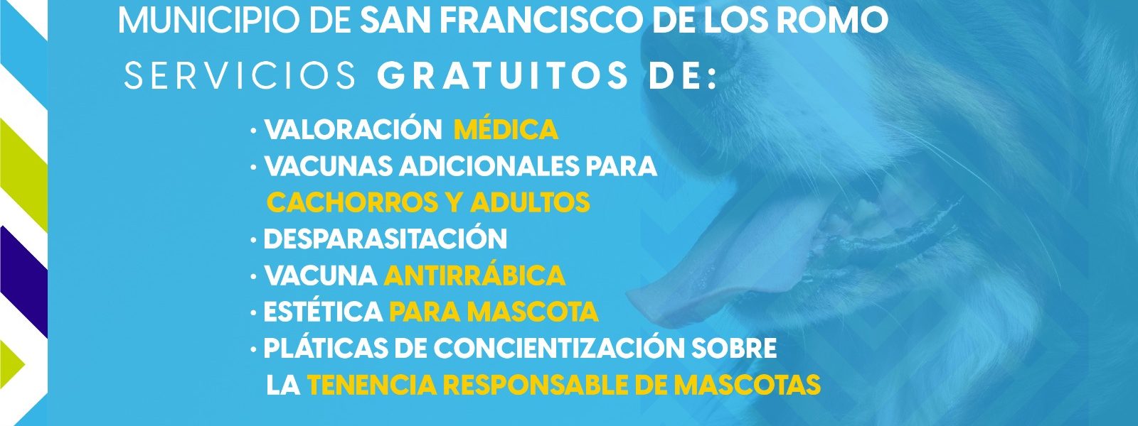 ESTE 12 DE MAYO, LA JORNADA DE SALUD PARA MICHIS Y LOMITOS SERÁ EN SAN FRANCISCO DE LOS ROMO