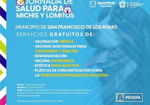 ESTE 12 DE MAYO, LA JORNADA DE SALUD PARA MICHIS Y LOMITOS SERÁ EN SAN FRANCISCO DE LOS ROMO