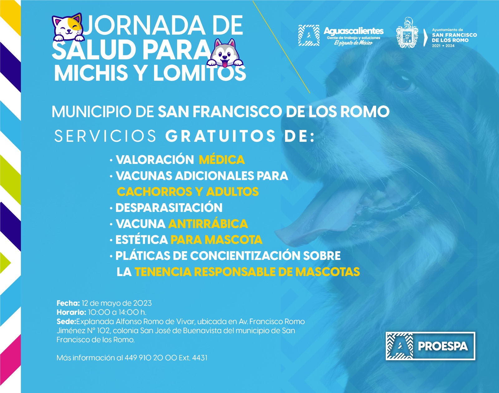 ESTE 12 DE MAYO, LA JORNADA DE SALUD PARA MICHIS Y LOMITOS SERÁ EN SAN FRANCISCO DE LOS ROMO