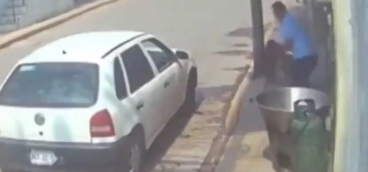 DEMENTE LANZA PERRITO A CAZO DE CARNITAS