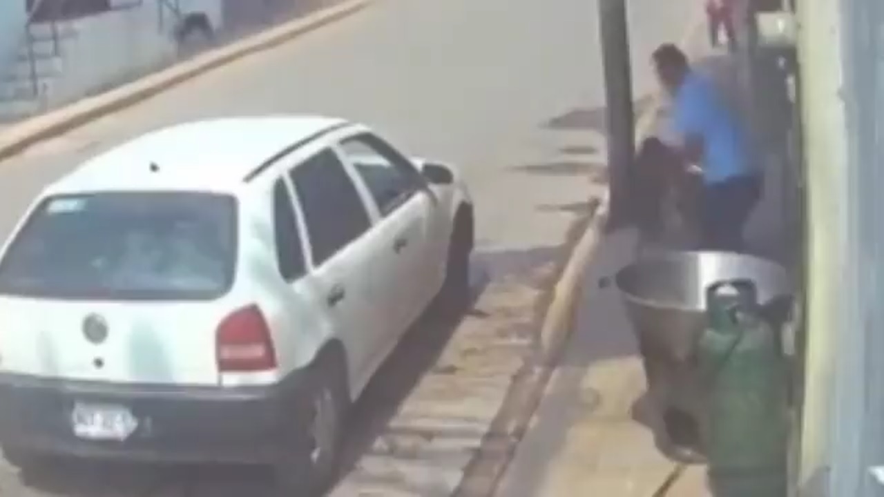 DEMENTE LANZA PERRITO A CAZO DE CARNITAS