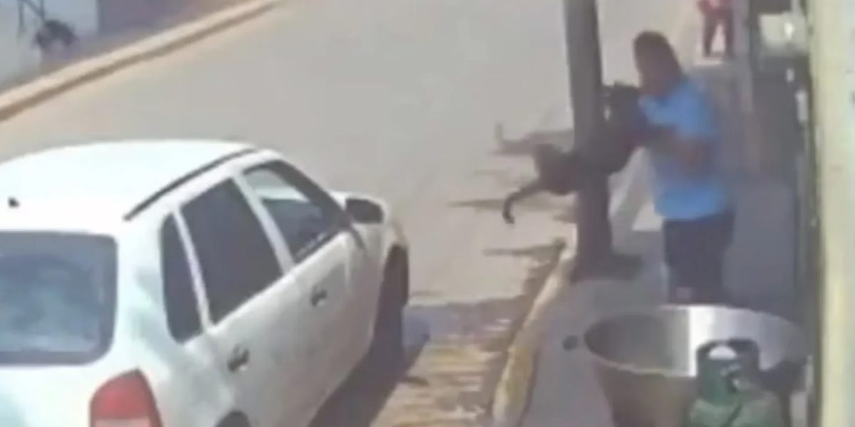 ¿Que hay en la mente de alguien que avienta un perro a un cazo de aceite hirviendo?