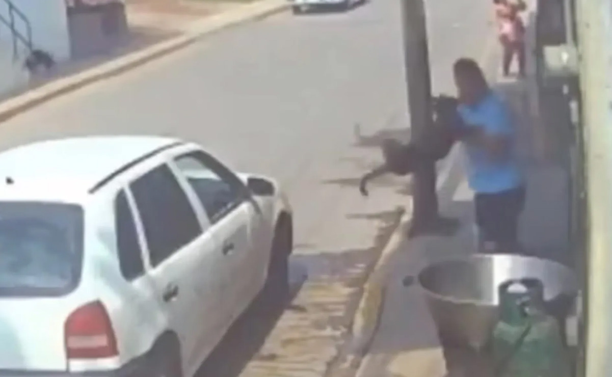 ¿Que hay en la mente de alguien que avienta un perro a un cazo de aceite hirviendo?