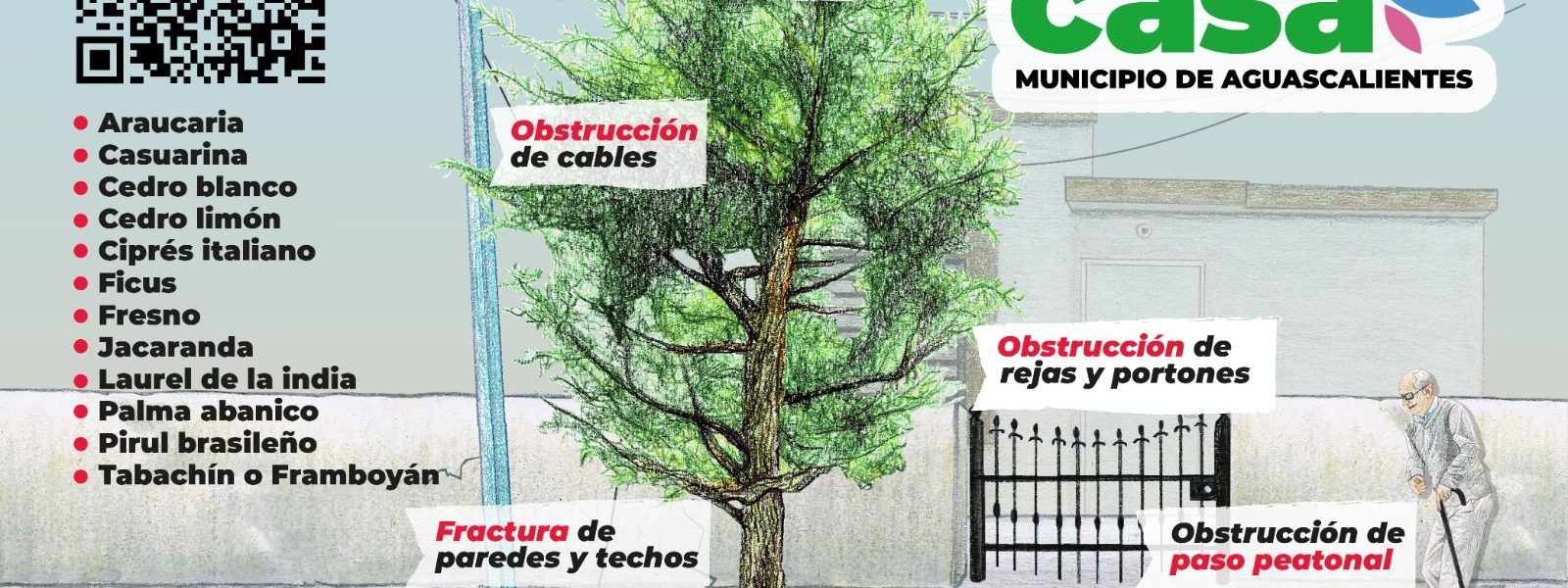 MUNICIPIO PONE EN MARCHA LA CAMPAÑA “EL ÁRBOL DE MI CASA”