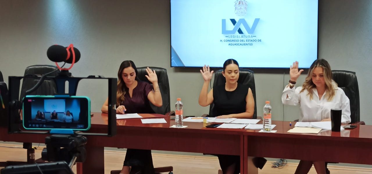 CONGRESO DE AGUASCALIENTES AVALÓ INICIATIVA PARA IMPULSAR EL DERECHO AL LIBRE DESPLAZAMIENTO DE PERSONAS CON DISCAPACIDAD