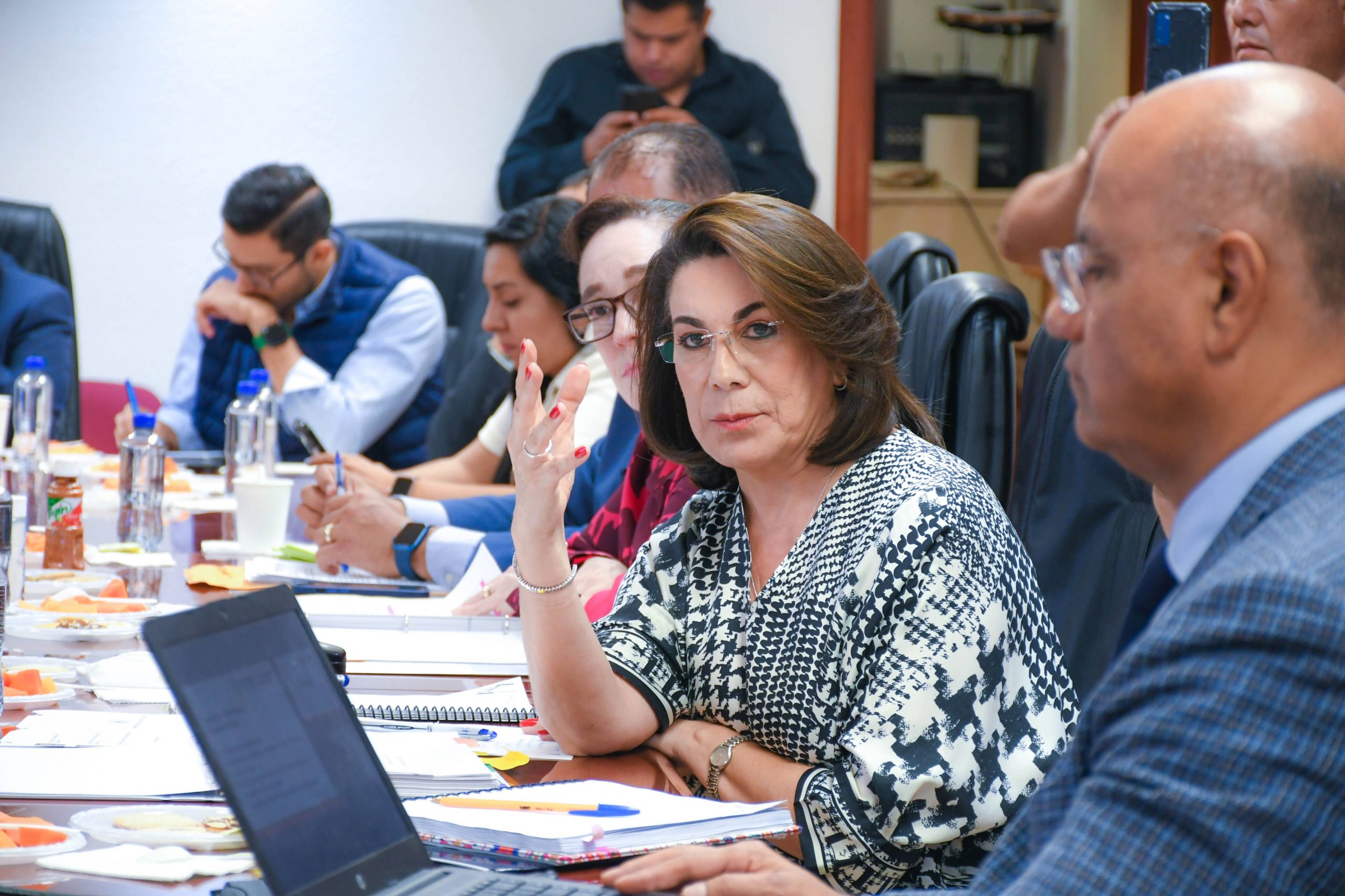 DIPUTADAS Y DIPUTADOS ABORDARON EL TEMA DE LIBROS DE TEXTO GRATUITOS CON LA DIRECTORA DEL IEA