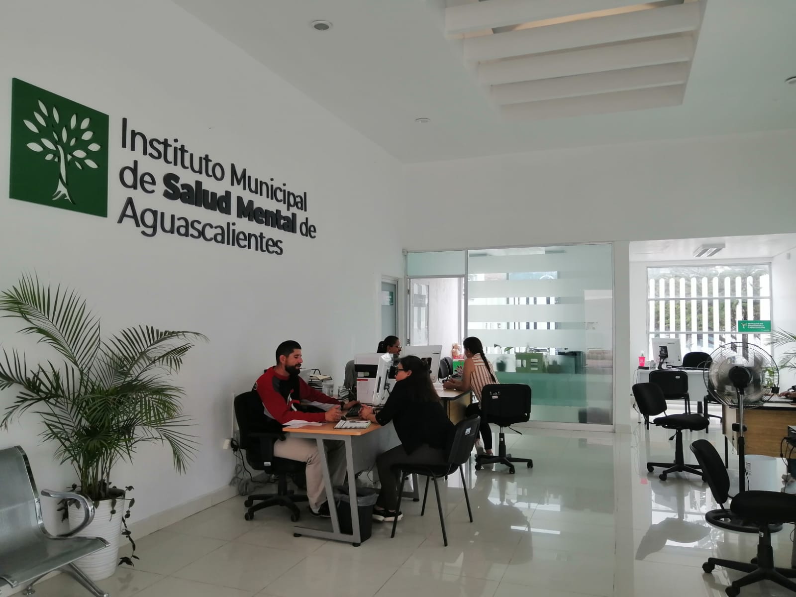 BRINDA MUNICIPIO DE AGUASCALIENTES ATENCIÓN PROFESIONAL EN SALUD EMOCIONAL