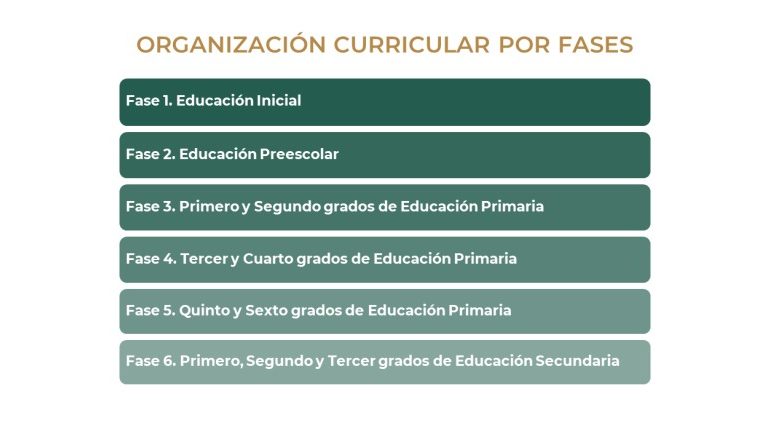 Así queda el nuevo plan de la SEP sin grados escolares
