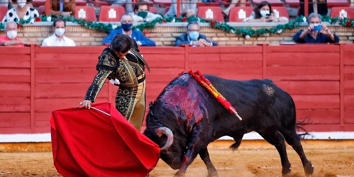 Proponen iniciativa para acabar de raiz con la Tauromaquia