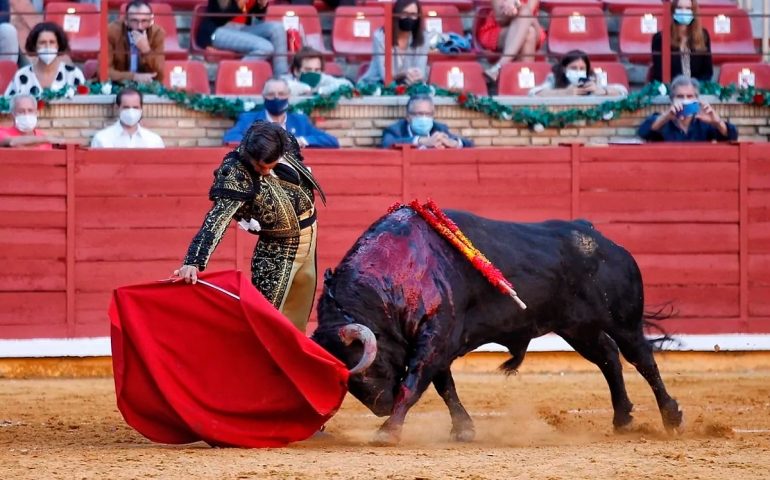 Proponen iniciativa para acabar de raiz con la Tauromaquia