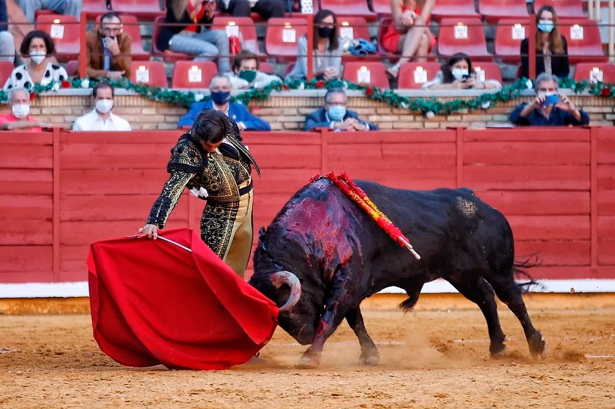 Proponen iniciativa para acabar de raiz con la Tauromaquia