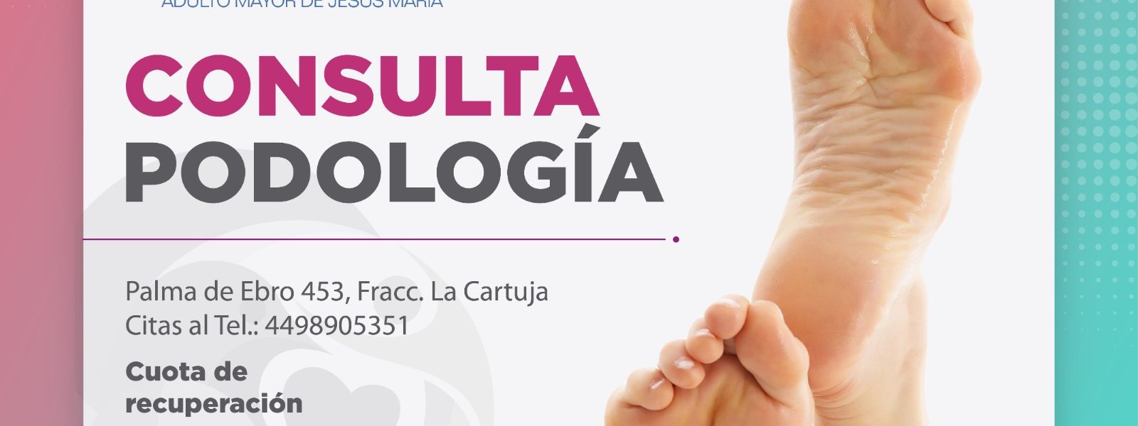 AMPLÍAN CURSOS Y TALLERES EN «SHALOM»