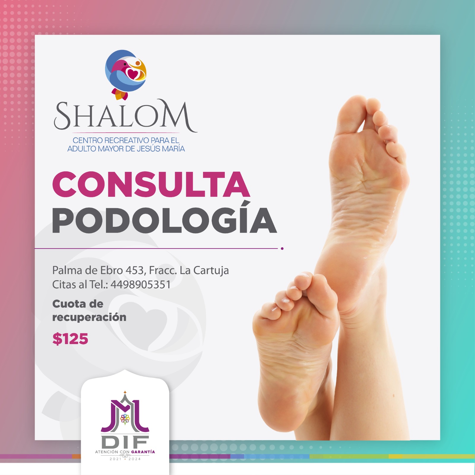 AMPLÍAN CURSOS Y TALLERES EN «SHALOM»