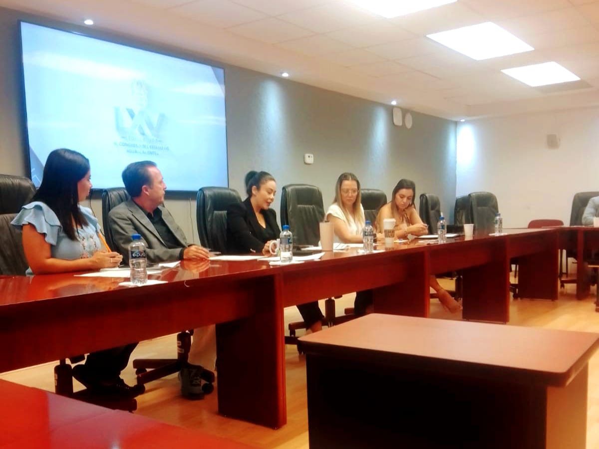 APRUEBAN DICTAMEN QUE CONTEMPLA CREACIÓN DE REGISTRO DE INFRACTORES VIALES