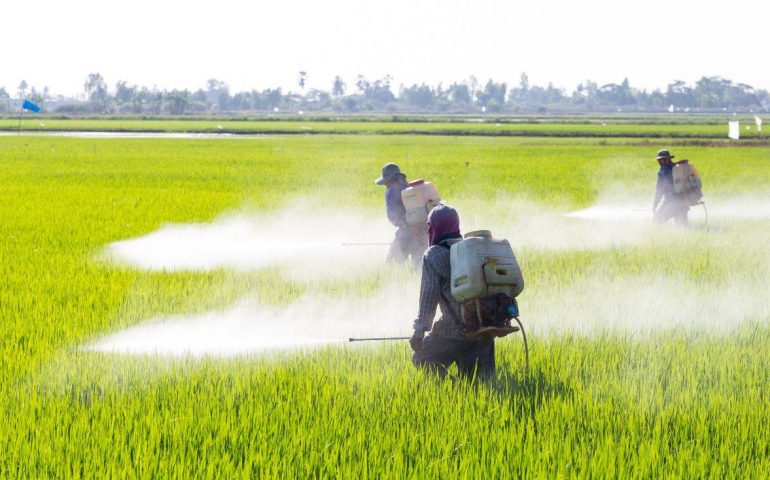 Alrededor de 400 mil productores dejan de utilizar glifosato en sus cultivos