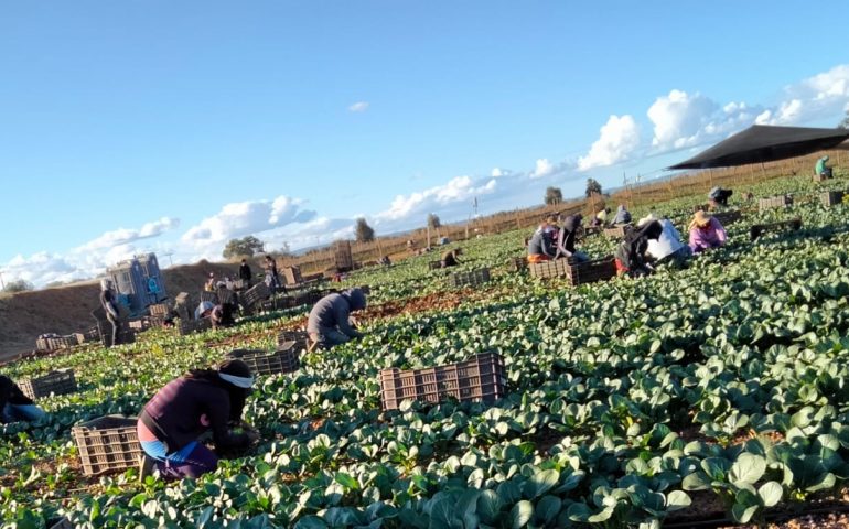 Grupo de 20 jornaleros fueron secuestrados por civiles armados tras confundirlos con migrantes