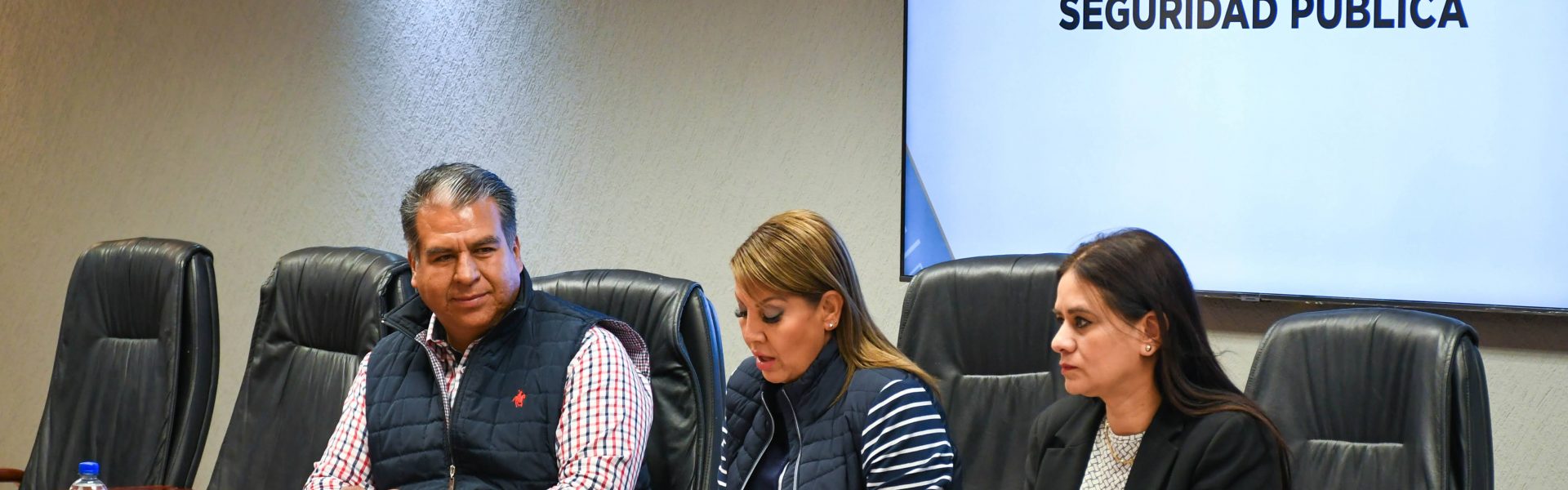 EN COMISIÓN SE MODIFICA LA LEY DE SEGURIDAD PÚBLICA