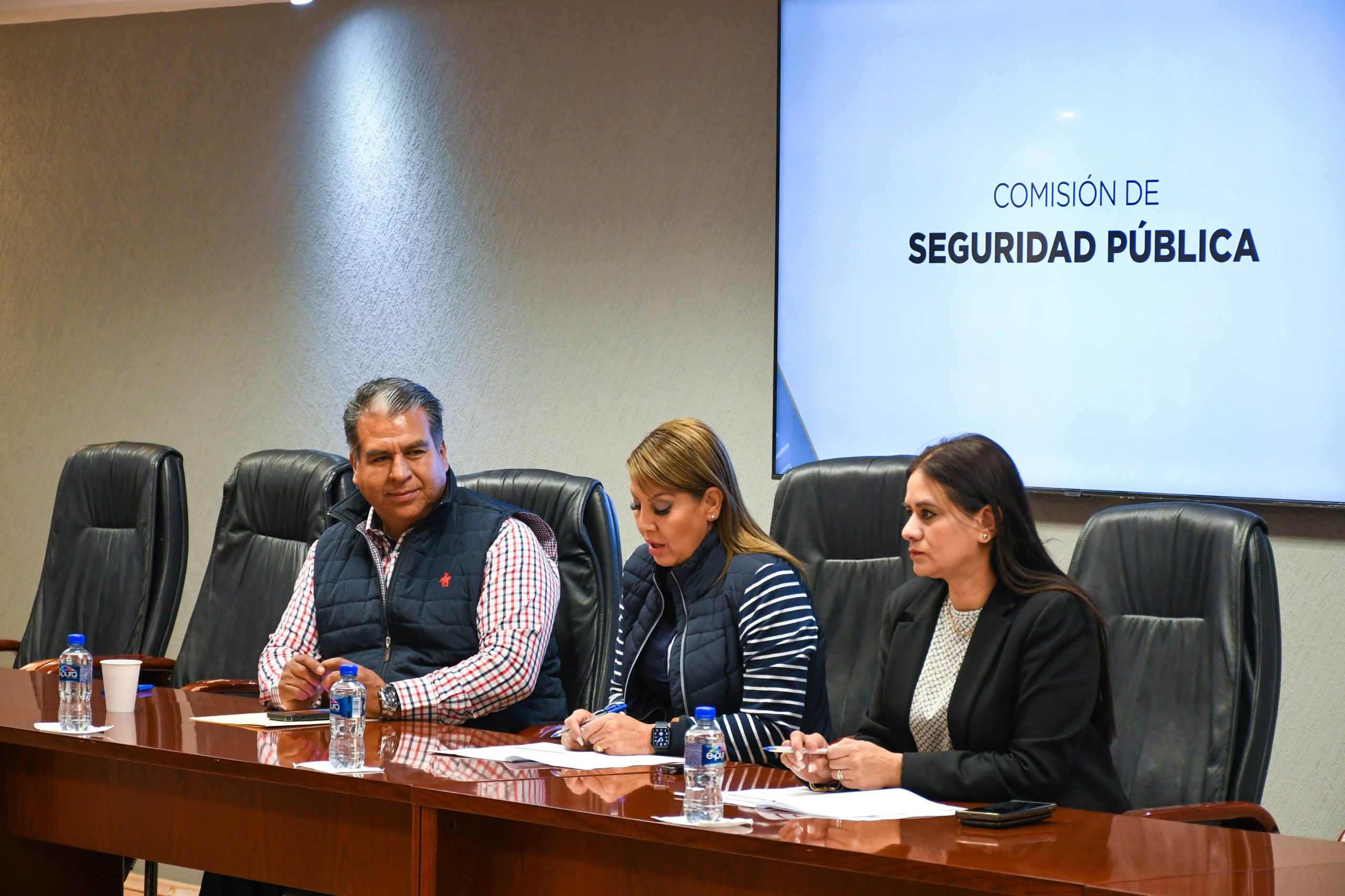 EN COMISIÓN SE MODIFICA LA LEY DE SEGURIDAD PÚBLICA